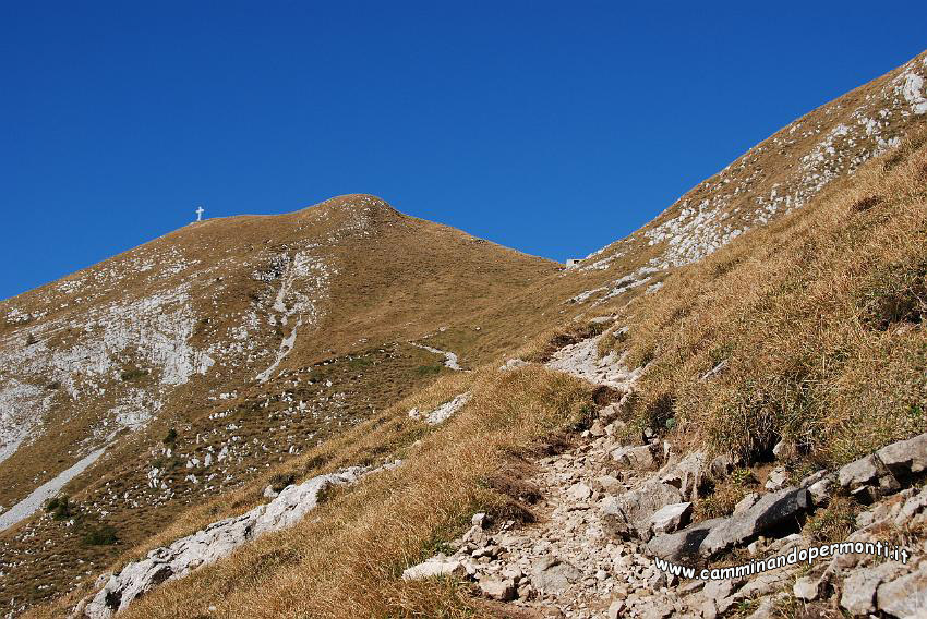 09 12635 Verso il Rifugio Palazzi MAGA.JPG